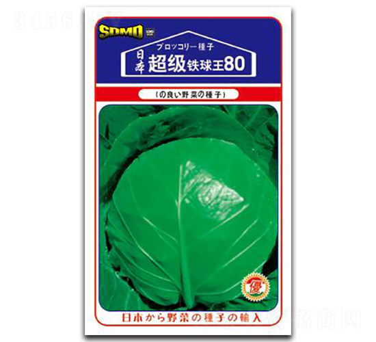 ����(j��)�F����80-���{(l��n)�N��-���зN�I(y��)