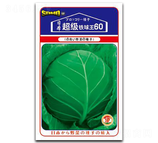 超級鐵球王60-甘藍種子-邢研種業