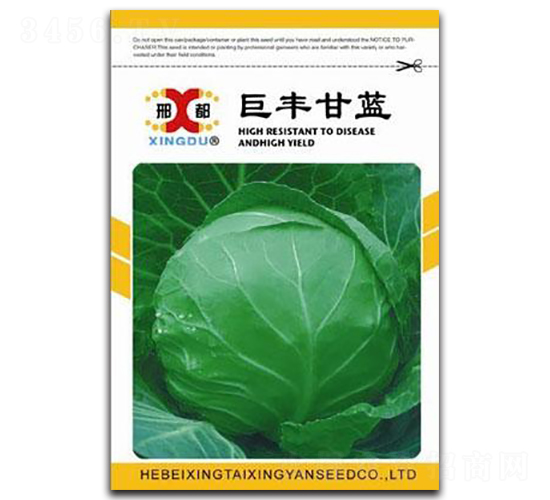 ���S���{-���{�N��-���зN�I