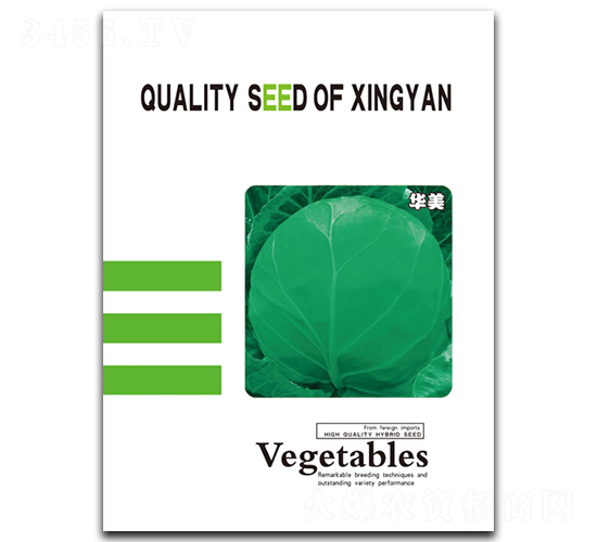 華美-甘藍種子-邢研種業