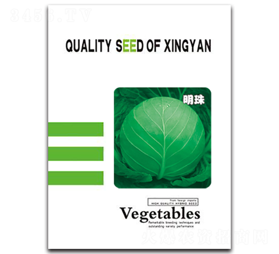 明珠-甘藍種子-邢研種業