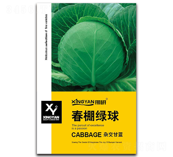 ����G��-���{�N��-���зN�I