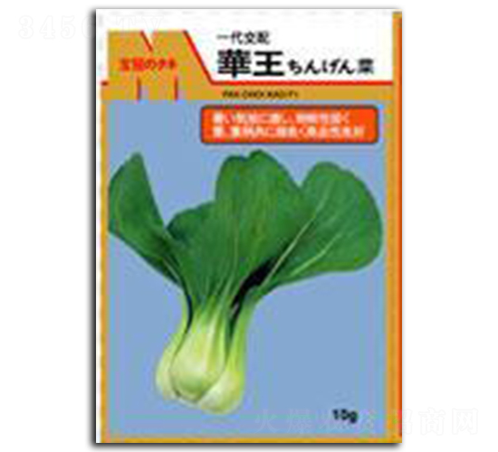 �A��-��˷N��-����N�I