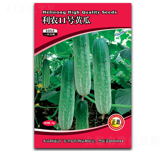 ���r11̖�S�ϣ�1053��-�S�ϷN��-�����r