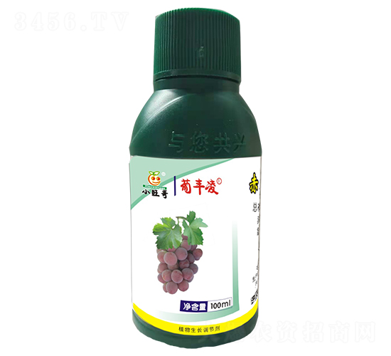 ���S���{����-�������