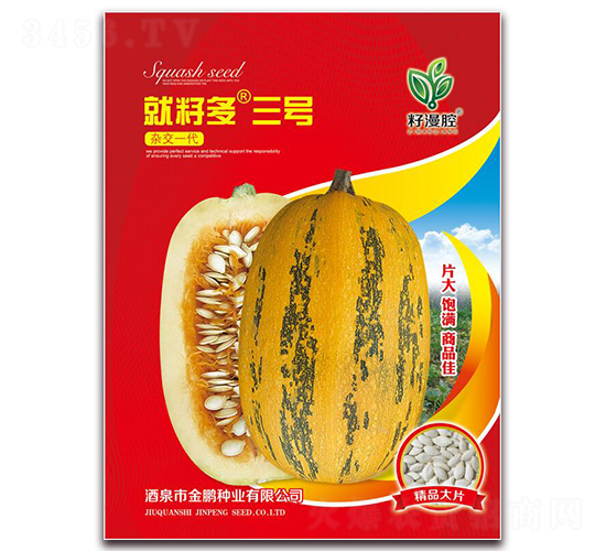 就籽多三號-籽用西葫蘆種子-金鵬種業