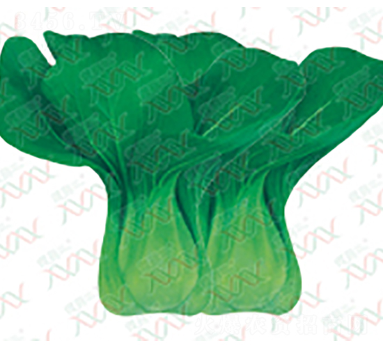 ���G����๣��-��˷N��-΢�ȷN�I