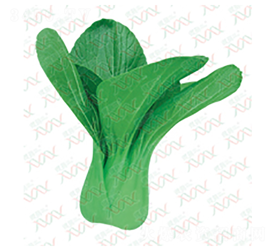 ���G�����๣��-��˷N��-΢�ȷN�I