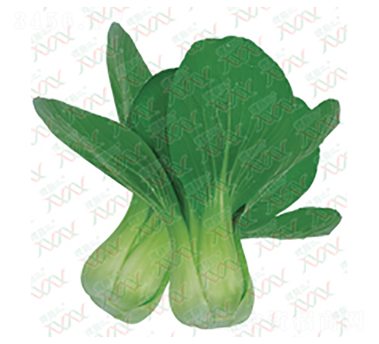 ����-��˷N��-΢�ȷN�I