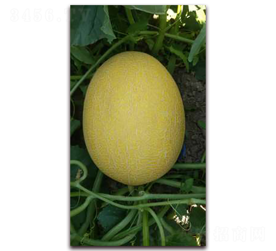 ��Ʒ25-��ϷN��-�F���N�I