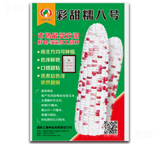 ����Ŵ��̖-Ŵ���׷N��-�����N�I