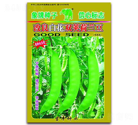 �����׻��p�v���m����888��-���m���N��-���S�N�I