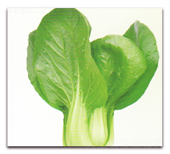 ����22̖-�๣�˷N��-����N�I