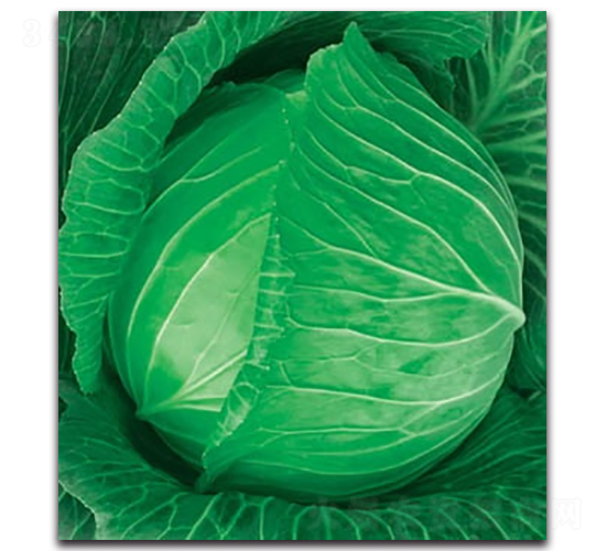 δ��789���{-���{�N��-����N�I