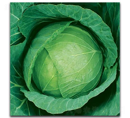 δ��783���{-���{�N��-����N�I