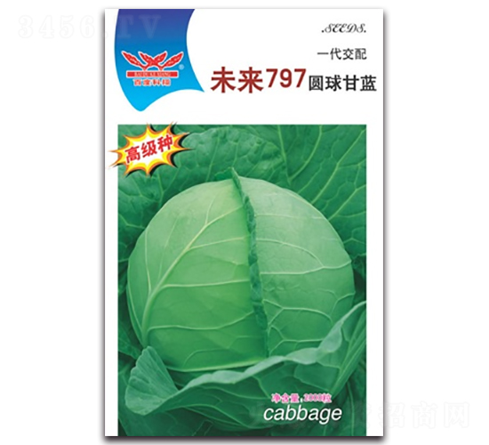 δ��797-���{�N��-����N�I