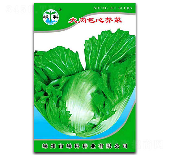 �������Ľ��-��˷N��-�ӿƷN�I