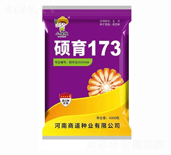 �T��173��4300����-���׷N��-�̵��N�I