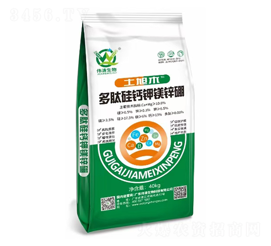 ���Ĺ��}��V�\��-��������