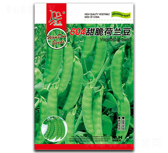 604�����m��-���m���N��-�}�ʷN�I(y��)