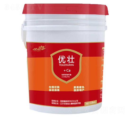 ����-�ֵ،�