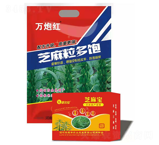 ֥��߮a�ײ�-�f�ڼt-���{�d