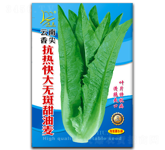 �������-�����˷N��-�}�ʷN�I