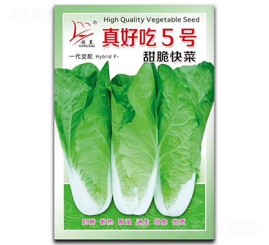 ��ó�5̖-��˷N��-�}�ʷN�I