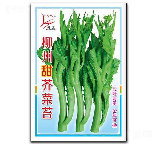 柳州甜芥菜苔-菜苔種子-閩皇種業