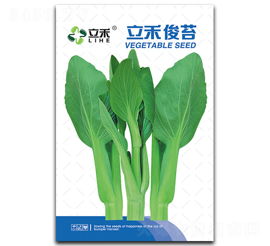 ���̿�̦-��̦�N��-�}�ʷN�I(y��)