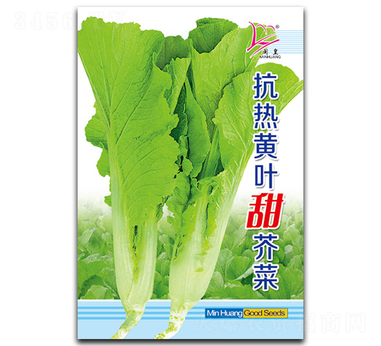 �����S�~����-��˷N��-�}�ʷN�I