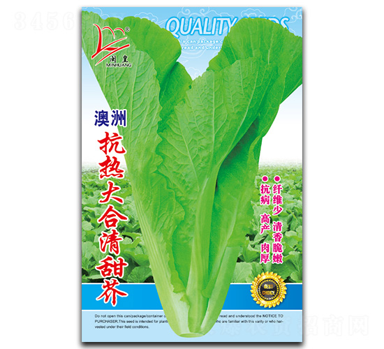 �����������-��˷N��-�}�ʷN�I