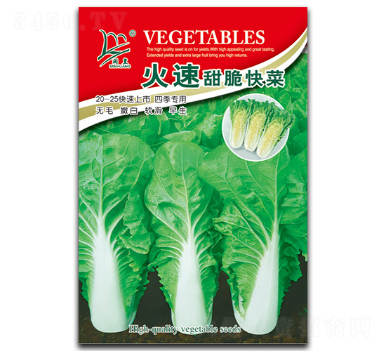 ���������-��˷N��-�}�ʷN�I