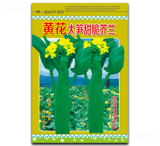 �S����S�����m-���m�N��-�}�ʷN�I