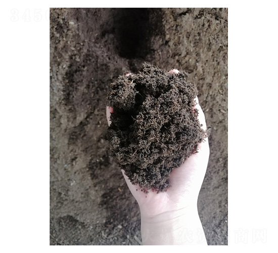 �G��������̿��-�t�ķ�