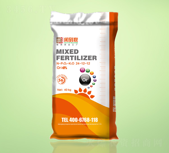 �������׷����24-12-12-�e����-�����r�I