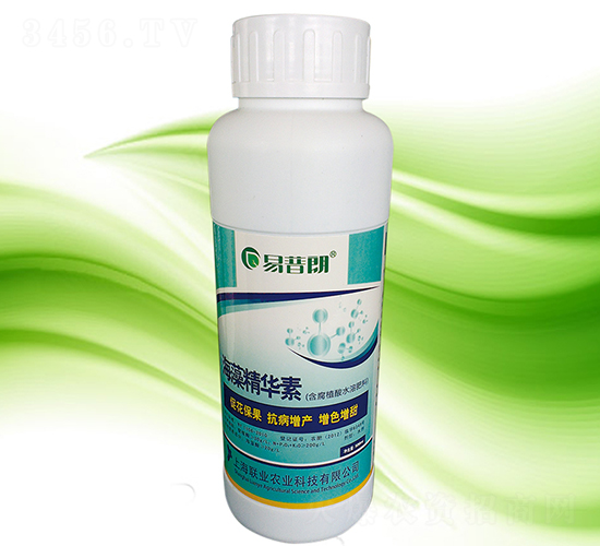 ���徫�A��-������-�Ϻ��I