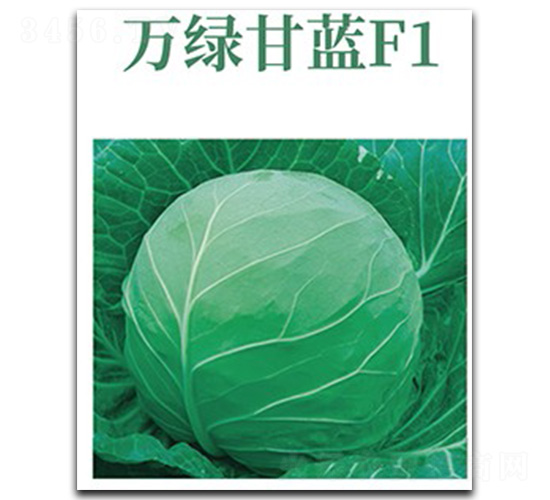 �f�G���{-���{�N��-���d