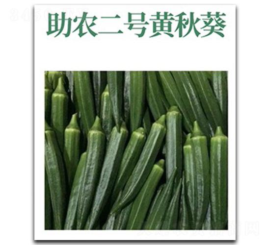 助農二號-黃秋葵種子-文興