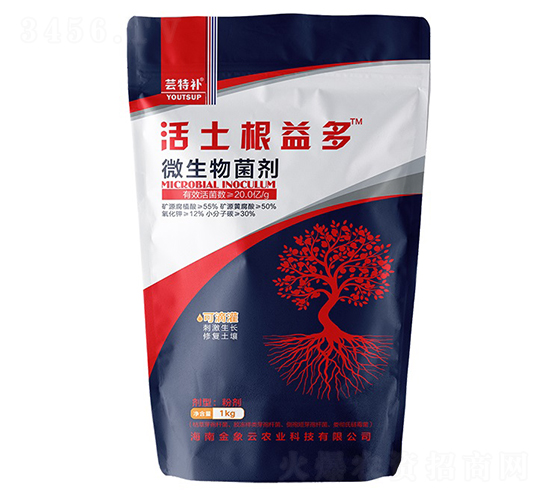 �|���a���������-�������r(n��ng)�I(y��)