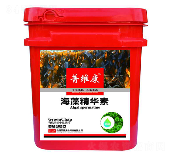 ���徫�A��-�վS��-ǧ������