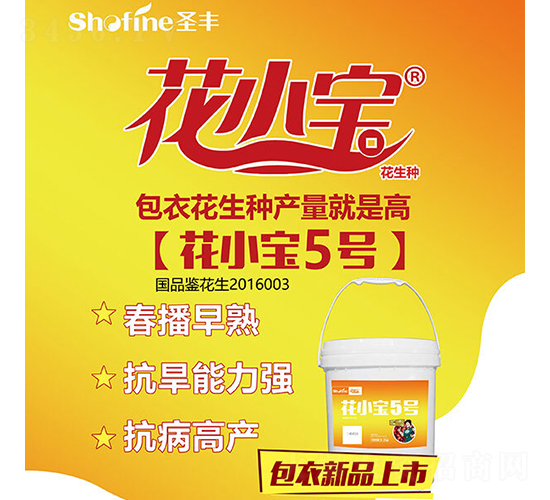 ��С��5̖-�����N��-ʥ�S�N�I