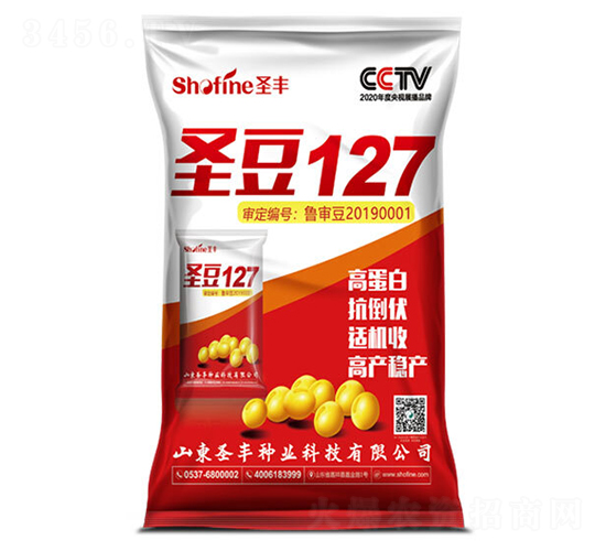 圣豆127-大豆種子-圣豐種業
