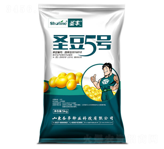 ʥ��5-�󶹷N��-ʥ�S�N�I