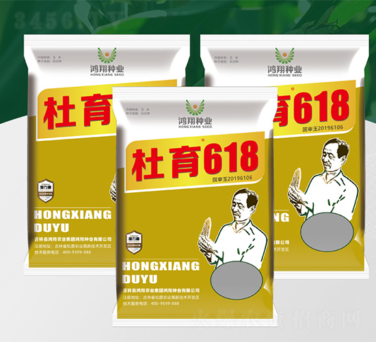 杜育618-玉米種子-鴻翔種業