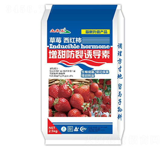 ��ݮ���t����������T����-���혷