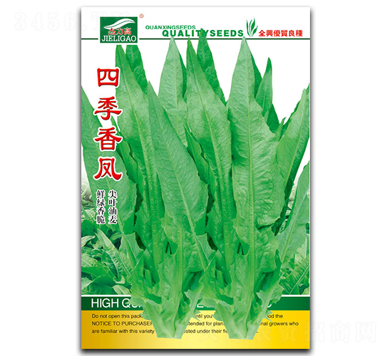 四季香鳳-油麥菜種子-全興種業