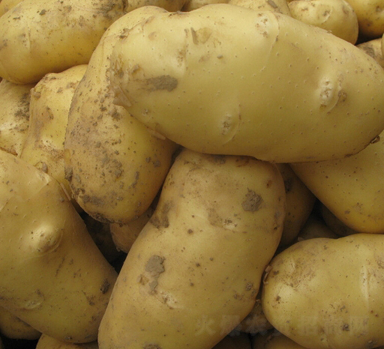 ���S12̖-�����N��-���S�N�I