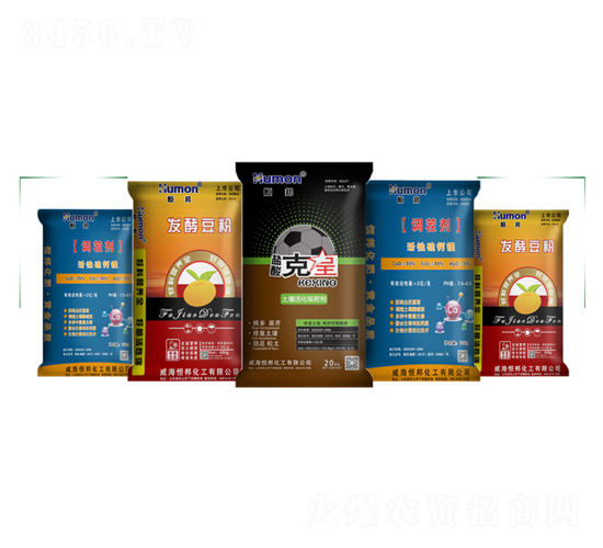 �����{�턩-����