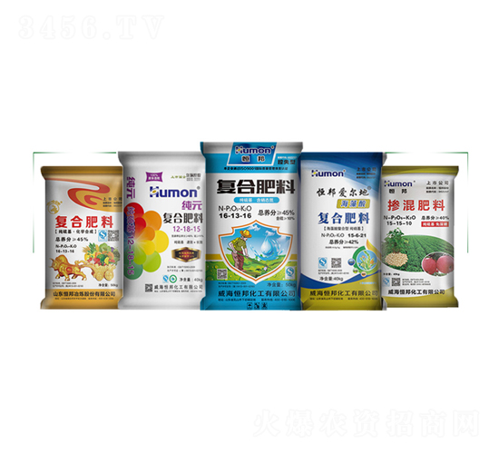 ��Ҏ��-����